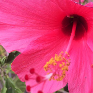 Meet your Posher, Colleen